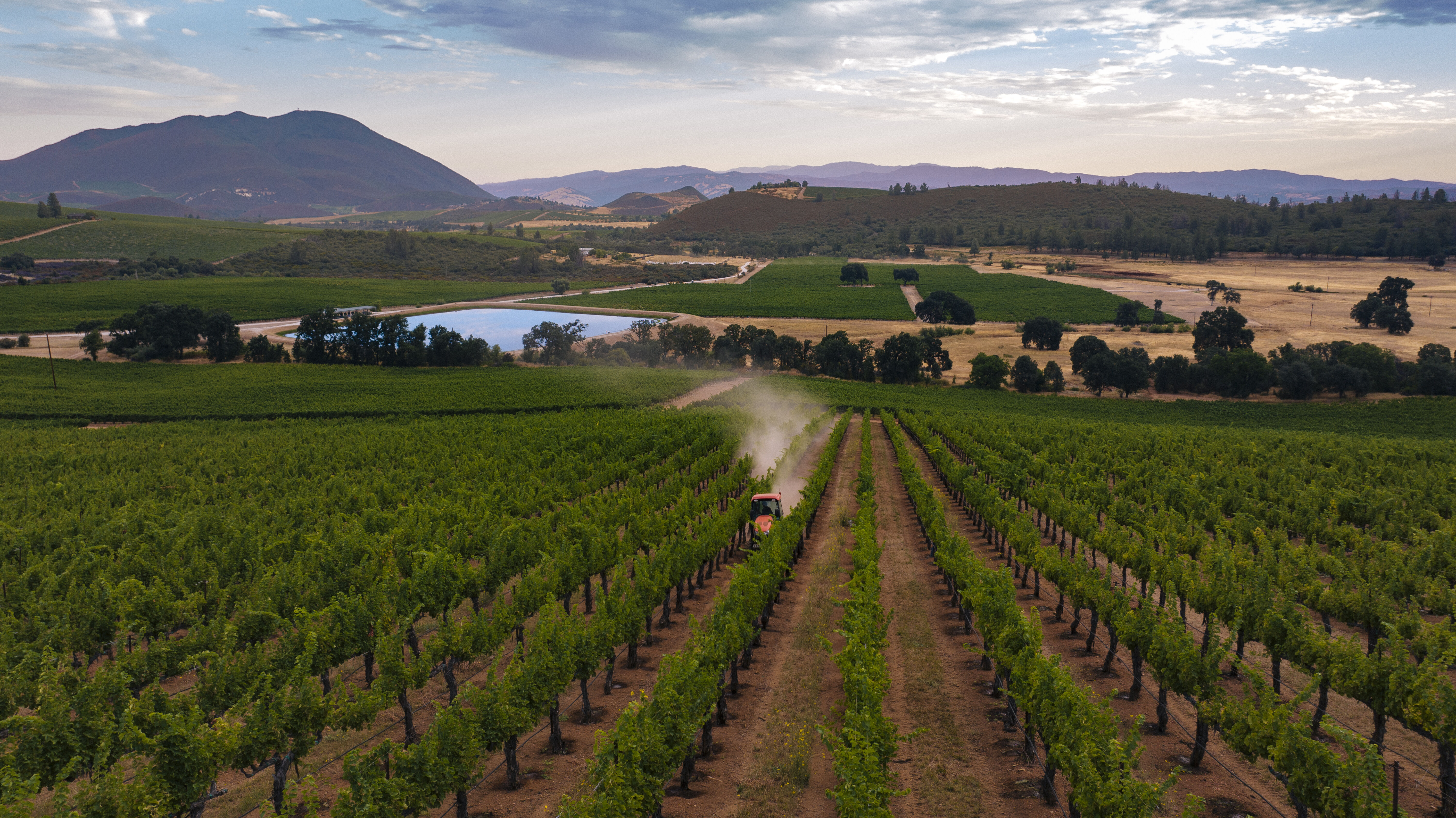 Kendall-Jackson vineyard